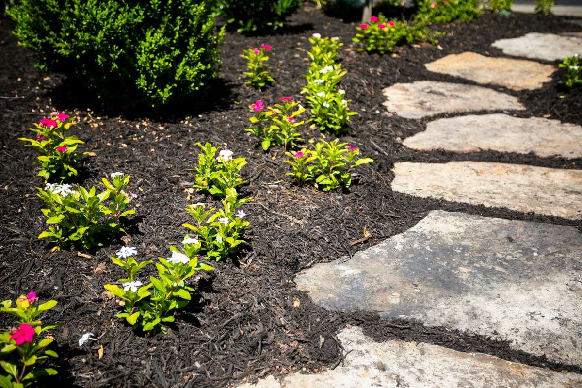 Virginia Flower Planting Schedule When to Plant Annuals, Perennials